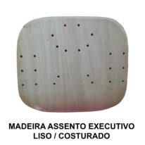 Madeira do ASSENTO Anatômico EXECUTIVA LISA / COSTURADA – TRÊS ESTADOS  – 97003 Araguaia Móveis para Escritório